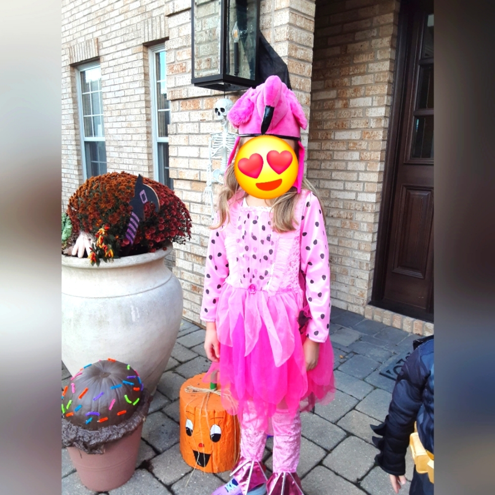 Flamingo costume